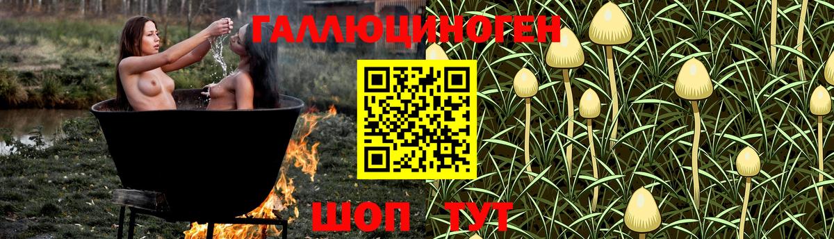 Галлюциногенные грибы Cubensis  Вход с VPN  Тимашёвск  Галлюциногенные грибы мицелий 