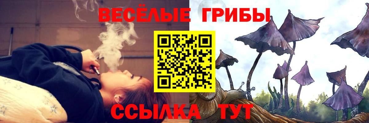 Галлюциногенные грибы мухоморы Тимашёвск