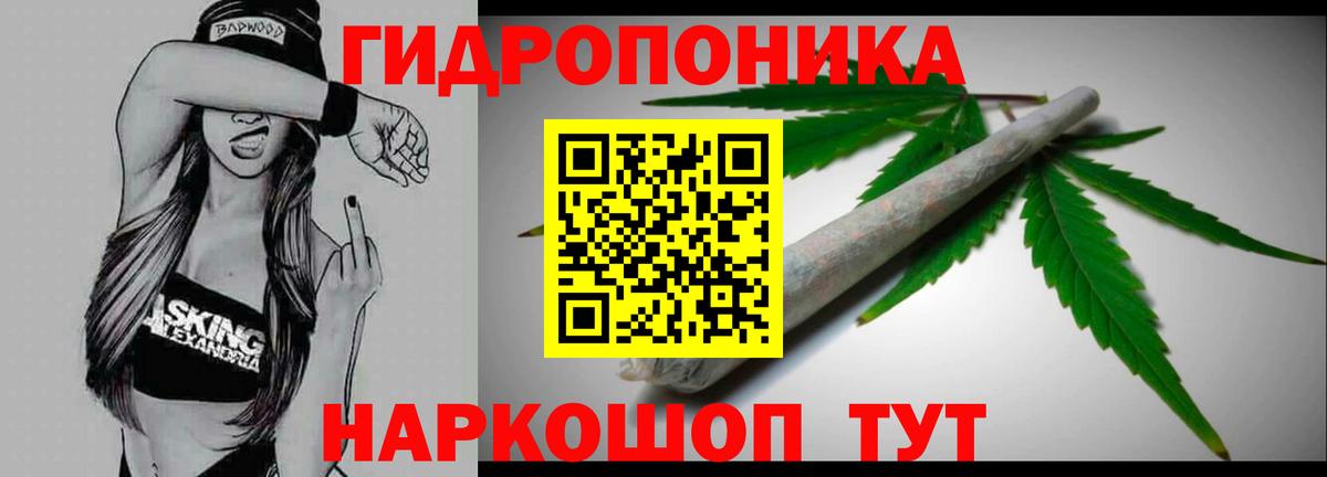 Бошки Шишки Bruce Banner  Бошки Шишки MAZAR  Тимашёвск  Шишки марихуана план  Вход с VPN 